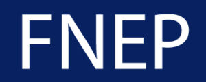 Logo fnep
